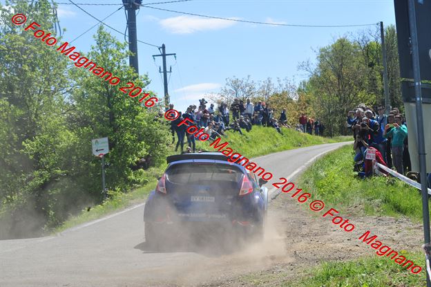 DSC_7334.JPG